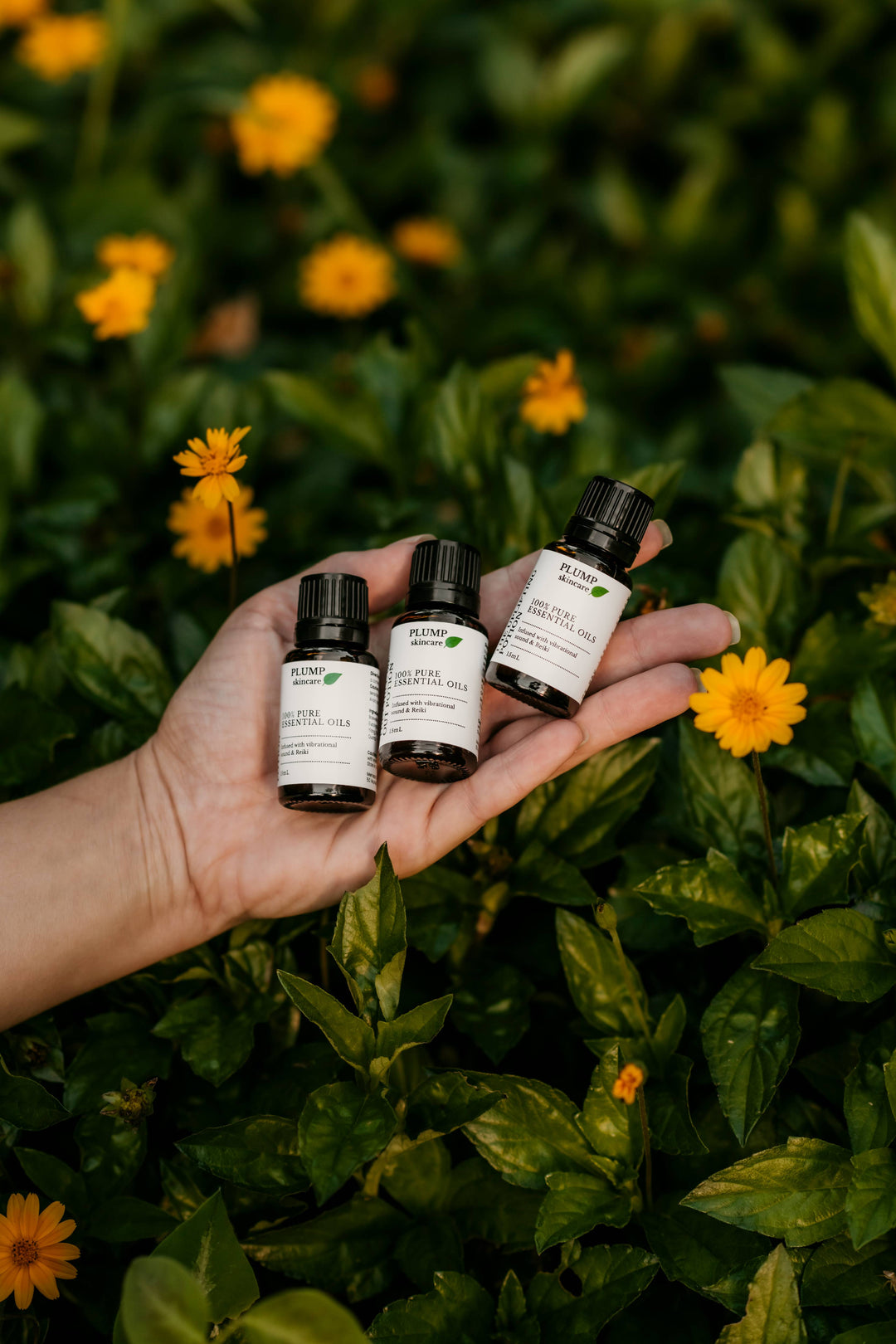 Essential Oils